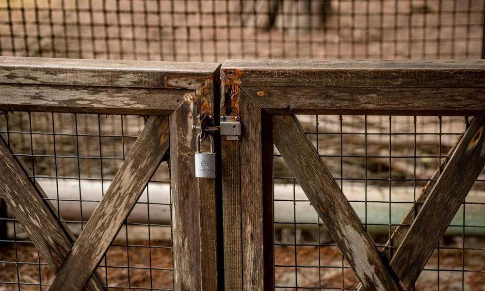 Loquet à verrou et cadenas sur la porte en bois d'un enclos à poules