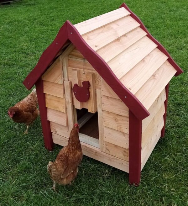 poulailler en bois 6 poules